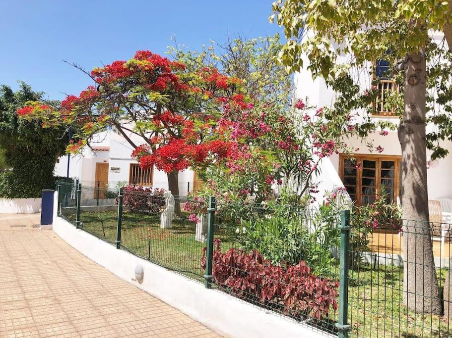 Apartamento Lucia Garden City Con Piscina Climatizada Playa Fanabe Exterior foto