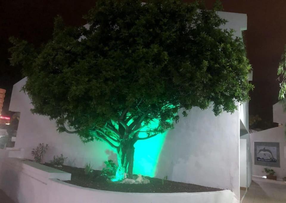 Apartamento Lucia Garden City Con Piscina Climatizada Playa Fanabe Exterior foto