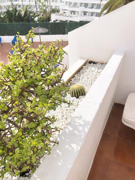 Apartamento Lucia Garden City Con Piscina Climatizada Playa Fanabe Exterior foto