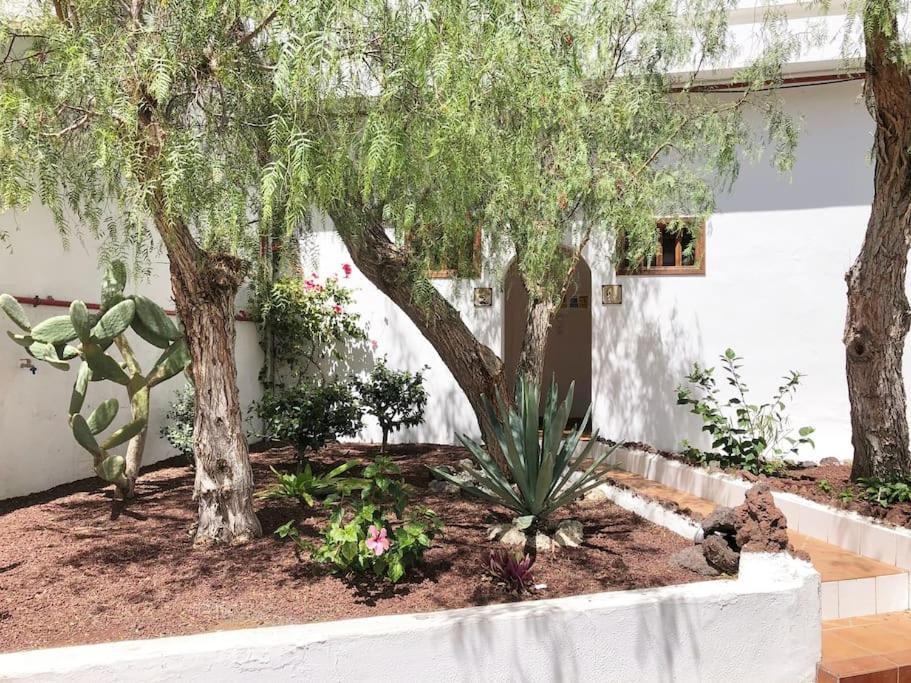 Apartamento Lucia Garden City Con Piscina Climatizada Playa Fanabe Exterior foto