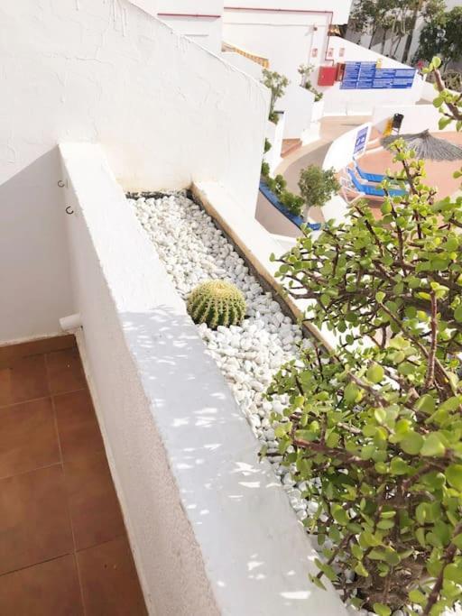 Apartamento Lucia Garden City Con Piscina Climatizada Playa Fanabe Exterior foto