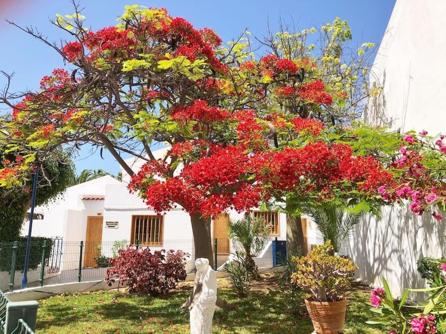 Apartamento Lucia Garden City Con Piscina Climatizada Playa Fanabe Exterior foto
